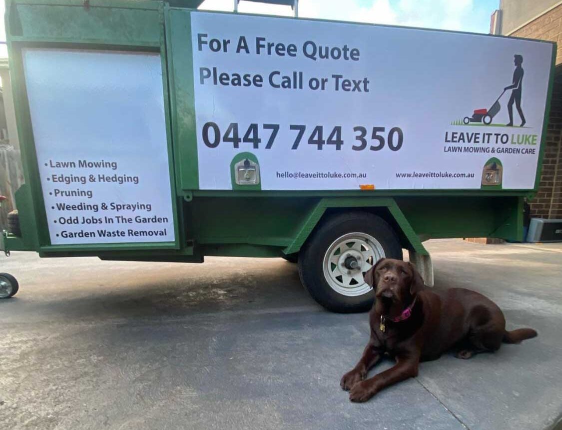 Leave It To Luke & Poppy - the chocolate labrador assistant