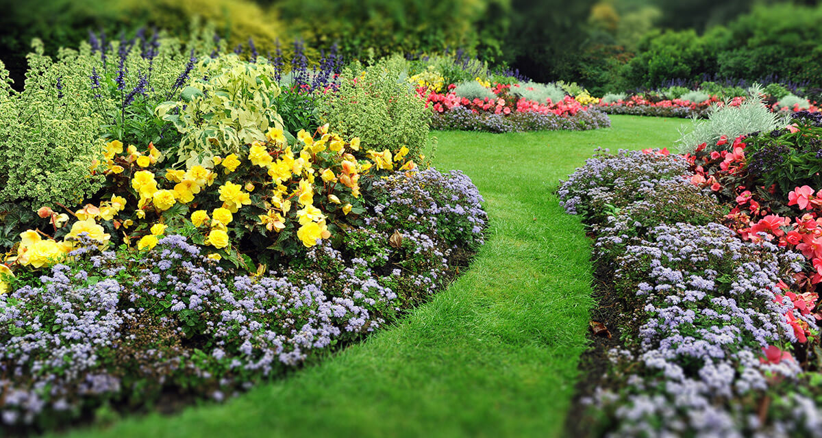 Commercial gardening Doncaster